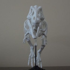 3d printed t rex skeleton