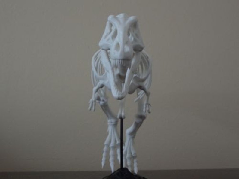 3d printed t rex skeleton