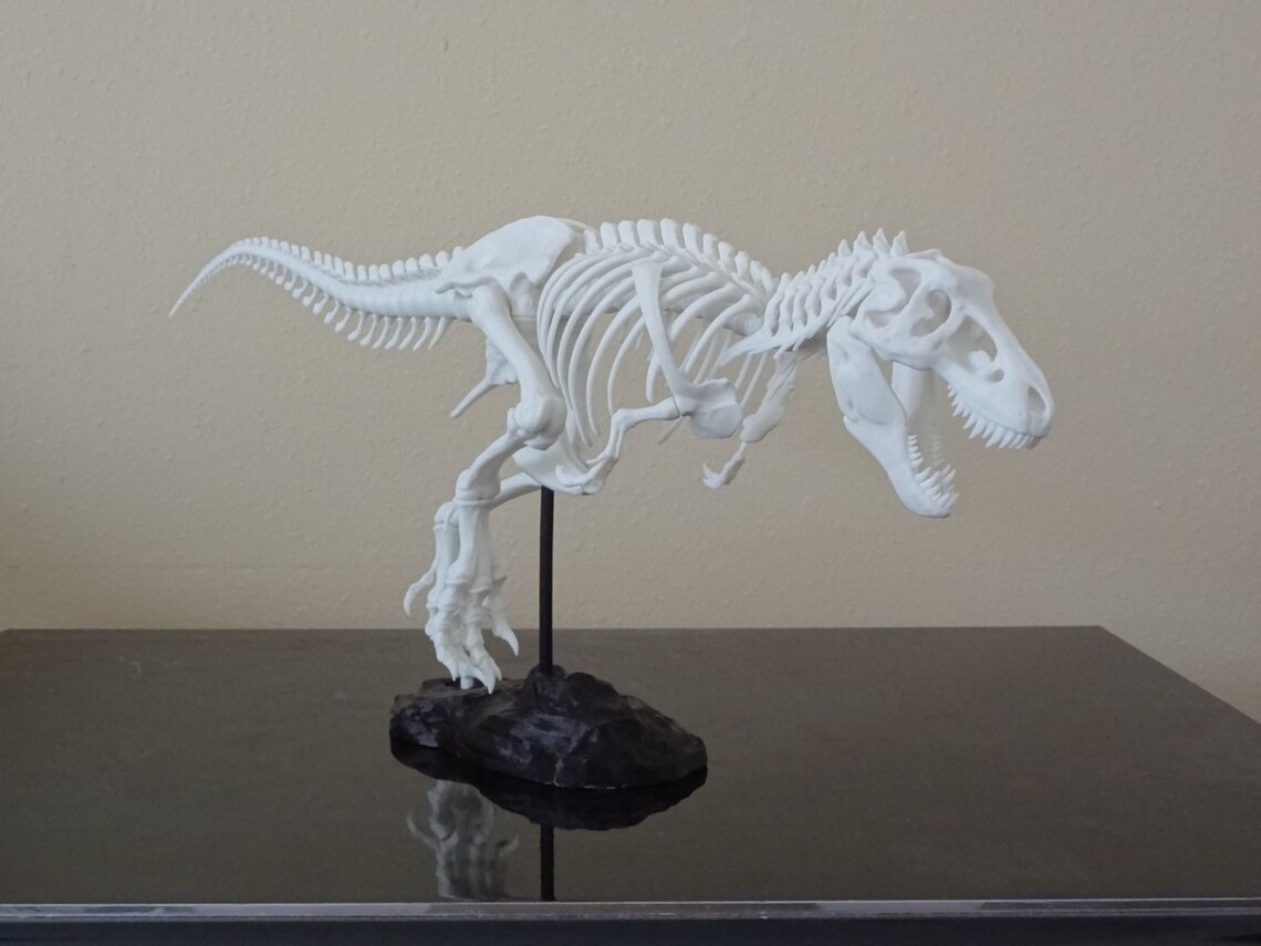 3d printed t rex skeleton