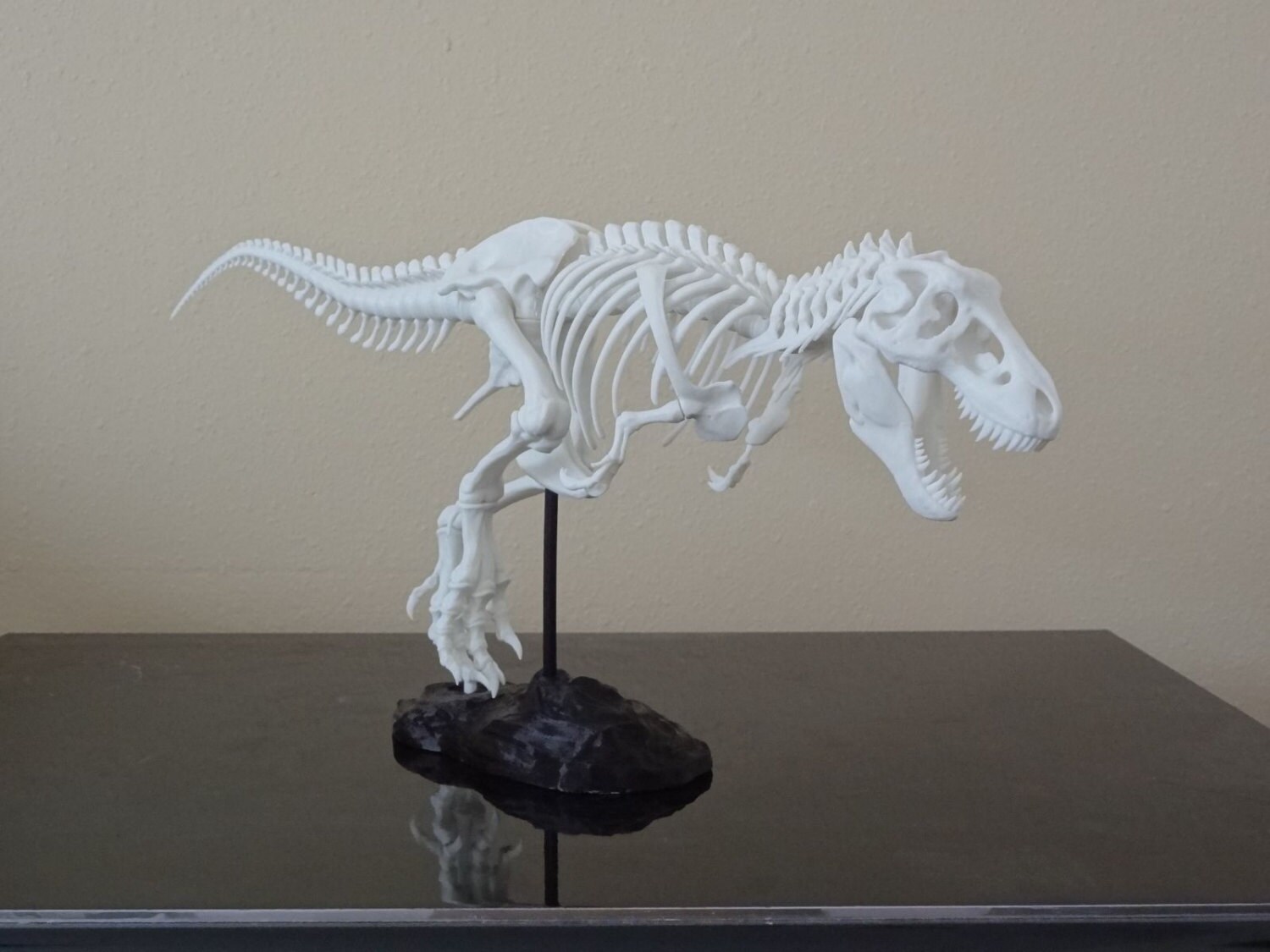 t rex skeleton 3d