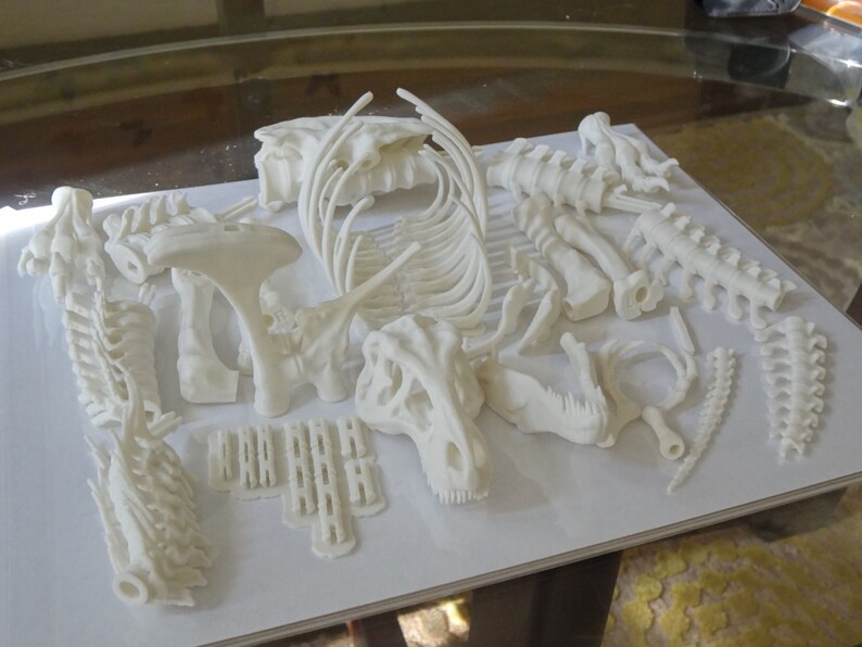 3d printed t rex skeleton