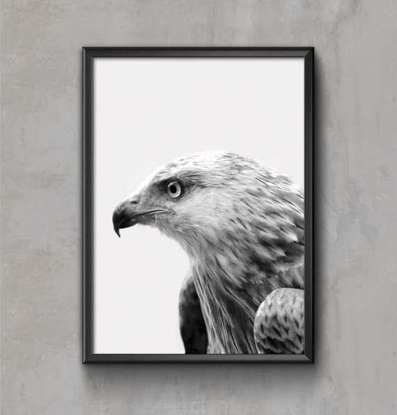 Eagle Print Nursery Animal Wall Art Black - Eagle Wall Art Eagle Print Nursery Animal Wall Art Black - Eagle Wall Art