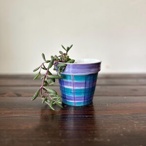 May include: A small, hand-painted ceramic planter with a vibrant plaid pattern in shades of blue, teal, and purple. The rim is a solid purple. A trailing succulent plant with green leaves and reddish stems spills over the edge of the pot.
