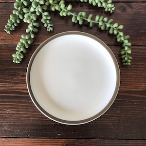 May include: A white ceramic plate with a dark gray rim sits on a dark brown wooden surface. A strand of green succulents is draped over the top of the plate.