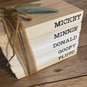 May include: A stack of five white wooden blocks with the names Mickey, Minnie, Donald, Goofy, and Pluto written in black lettering. The blocks are tied together with a brown burlap ribbon and a green leafy sprig.