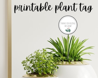 Printable Plant Tag for Teachers
