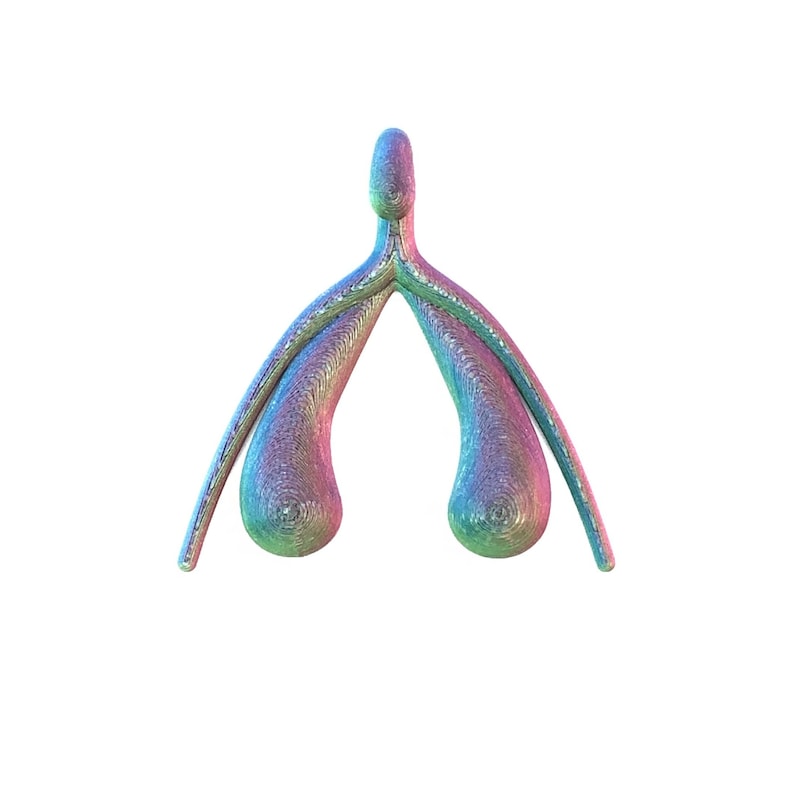 Clitoris Vulva Anatomy Model - Detachable 3D Printed, Life-Size, Multicolor, Sex Education image 6