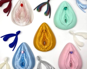 Vulva + Clitoris - Detachable Anatomical Model -  Empowering Feminist Gift and Educational Tool - 3D printed