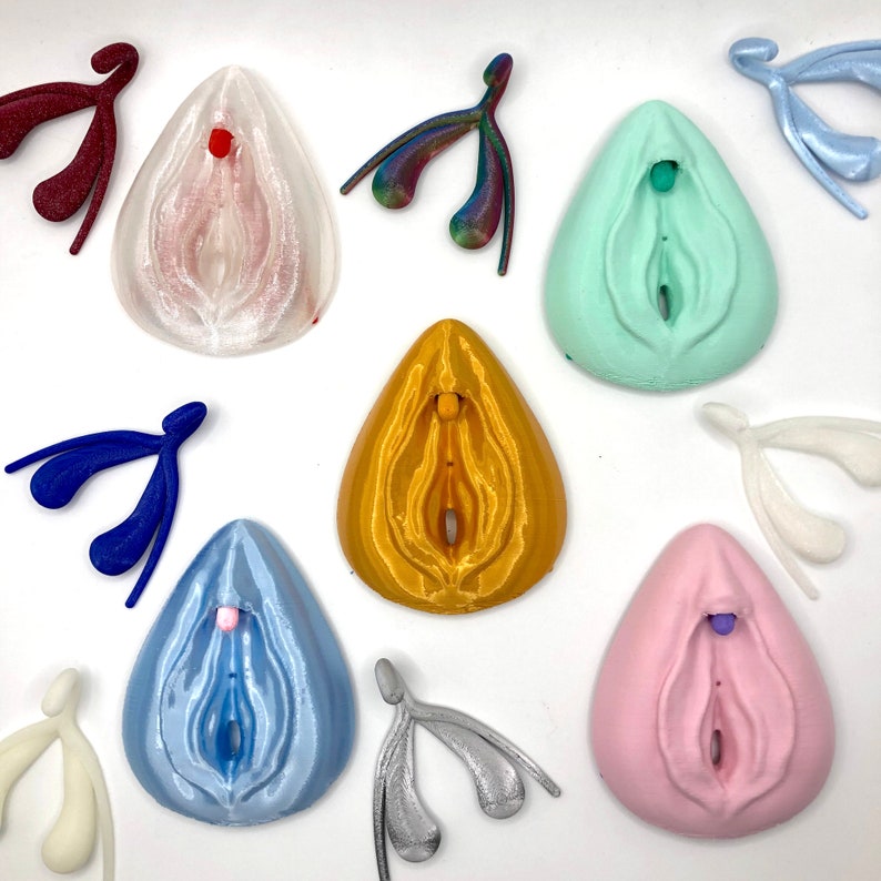 Clitoris Vulva Anatomy Model - Detachable 3D Printed, Life-Size, Multicolor, Sex Education image 1