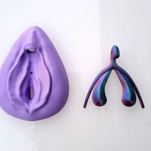 Clitoris Vulva Anatomy Model - Detachable 3D Printed, Life-Size, Multicolor, Sex Education image 9