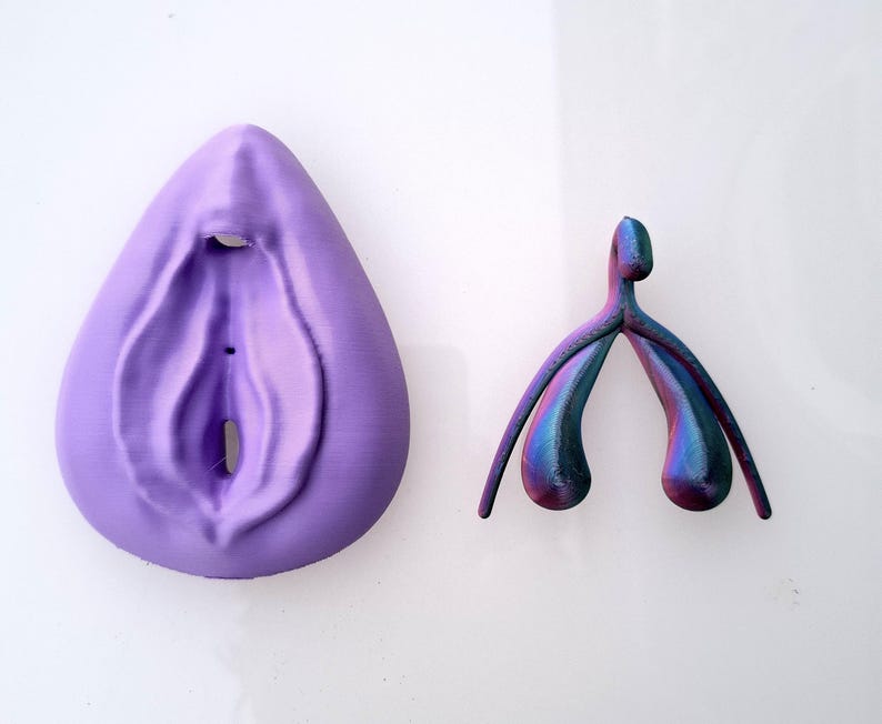 Clitoris Vulva Anatomy Model - Detachable 3D Printed, Life-Size, Multicolor, Sex Education image 9