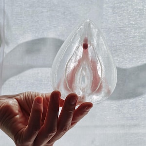 Clitoris Vulva Anatomy Model - Detachable 3D Printed, Life-Size, Multicolor, Sex Education image 11