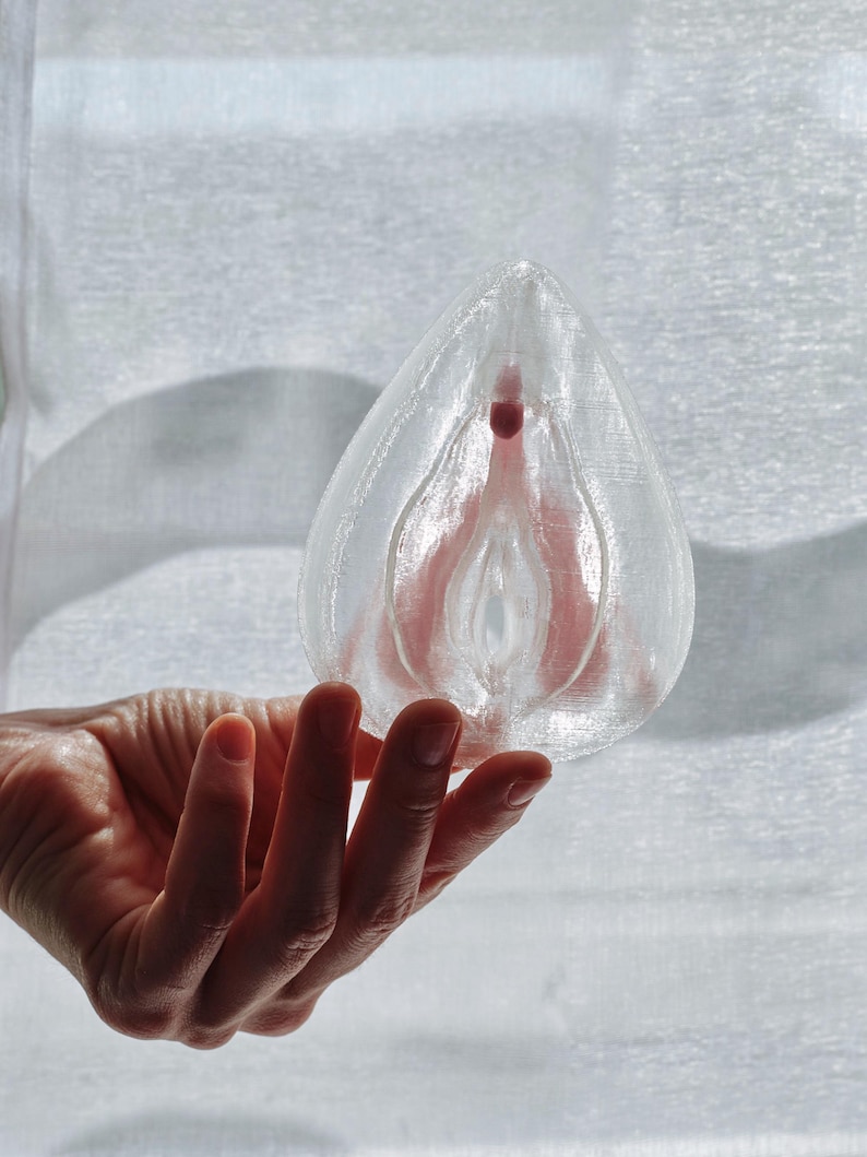 Clitoris Vulva Anatomy Model - Detachable 3D Printed, Life-Size, Multicolor, Sex Education image 11