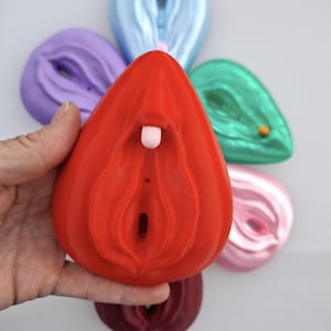 Clitoris Vulva Anatomy Model - Detachable 3D Printed, Life-Size, Multicolor, Sex Education image 8