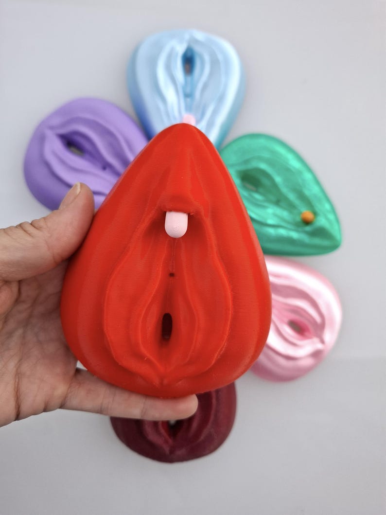 Clitoris Vulva Anatomy Model - Detachable 3D Printed, Life-Size, Multicolor, Sex Education image 8
