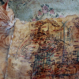 May include: A close-up of a vintage-looking map with handwritten text and markings in black and red ink on a brown paper background. The map is slightly curled at the edges and has a worn, aged appearance.