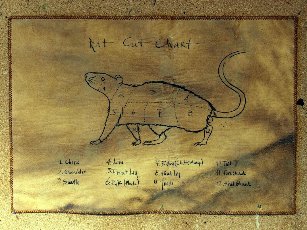 Rat Cut Chart Gimlet's Delicatessen-inspired. Rat Sketch. Rat Drawing ...