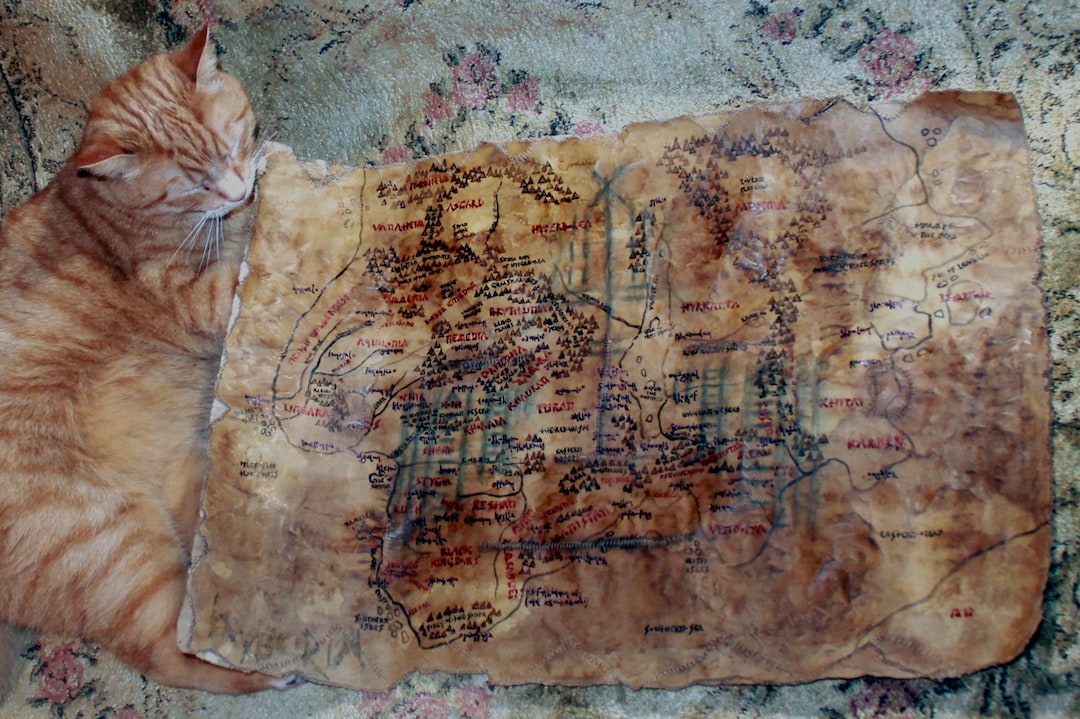 Human Skin Hyboria Map Conan Series. Handmade and Drawn Realistic ...