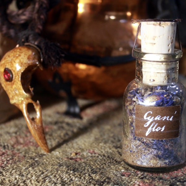 Dried CORNFLOWER Flowers in Antique Vial Alchemy Ingredient Witchcraft Magic Potion Vintage Apothecary Curio Oddity Curiosity Dark Academia