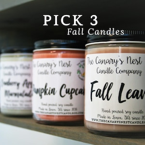 Fall Candle Gift Set Pick 3 | Fall Candles, Winter Candles, Candle Gift Box, Christmas Gift, Soy Candles, Fall Candle Sampler, Gifts for Her