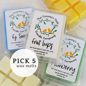 Soy Wax Melt Sample Pack: Strong Scents, Gift Set, Bundle, Pick Your Fragrances
