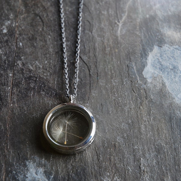 Pissenlit Seed rond en verre médaillon à mémoire vivante avec longue chaîne - bijoux souvenir - pendentif mémoire vivante - coffret cadeau d’Irlande.