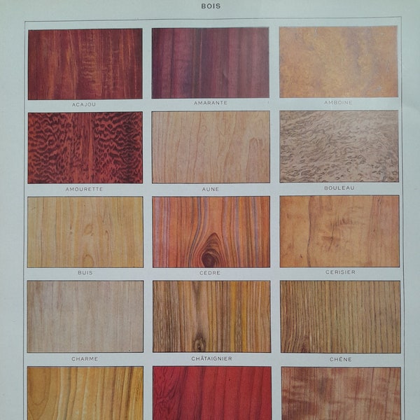 1929, essences de bois, marquetterie , ébène, acajou, chêne, Planche authentique Larousse, décoration murale sur le bois