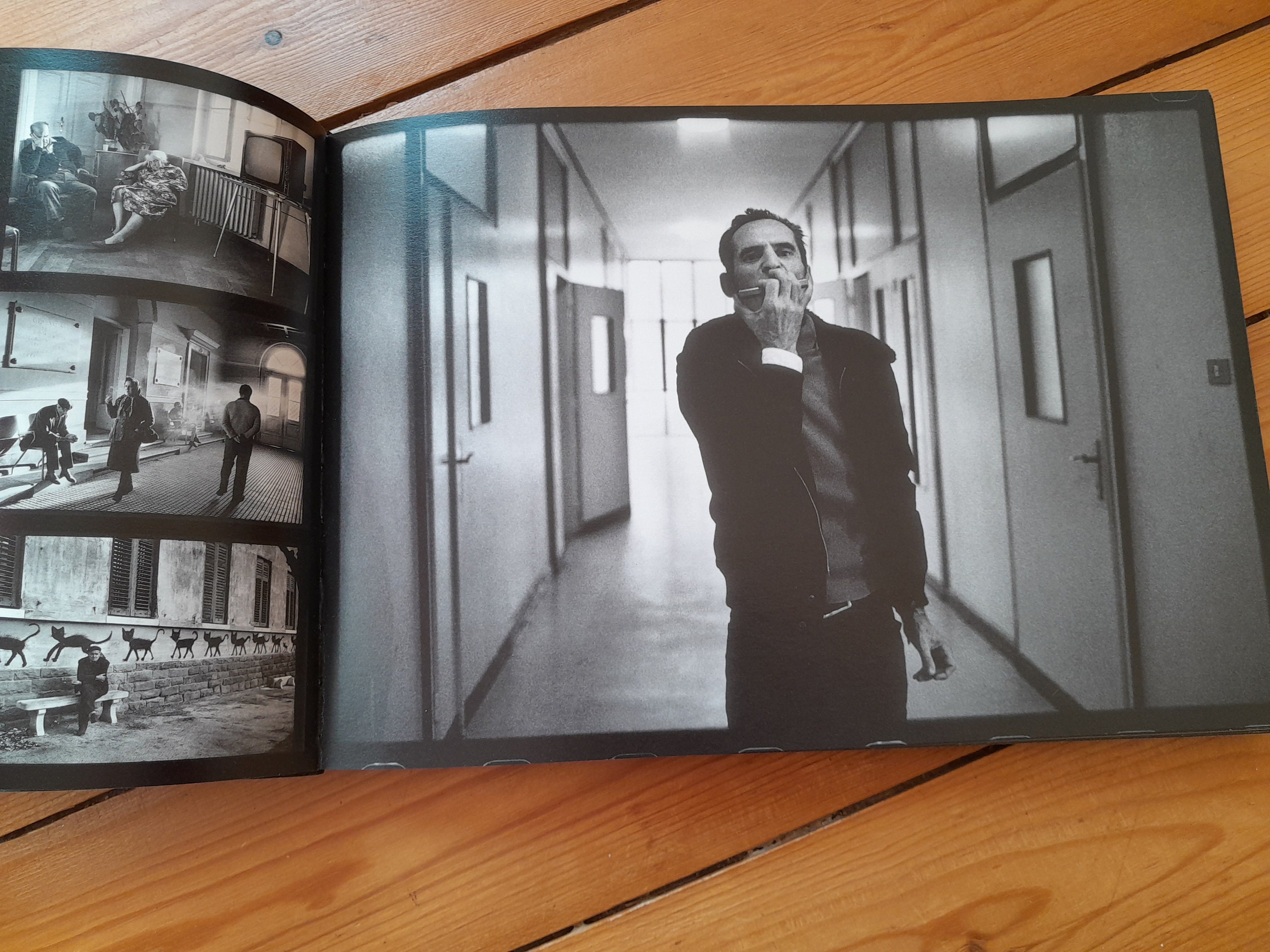 Manicomio: the Reclusive Madness, Rare Book of Photographs