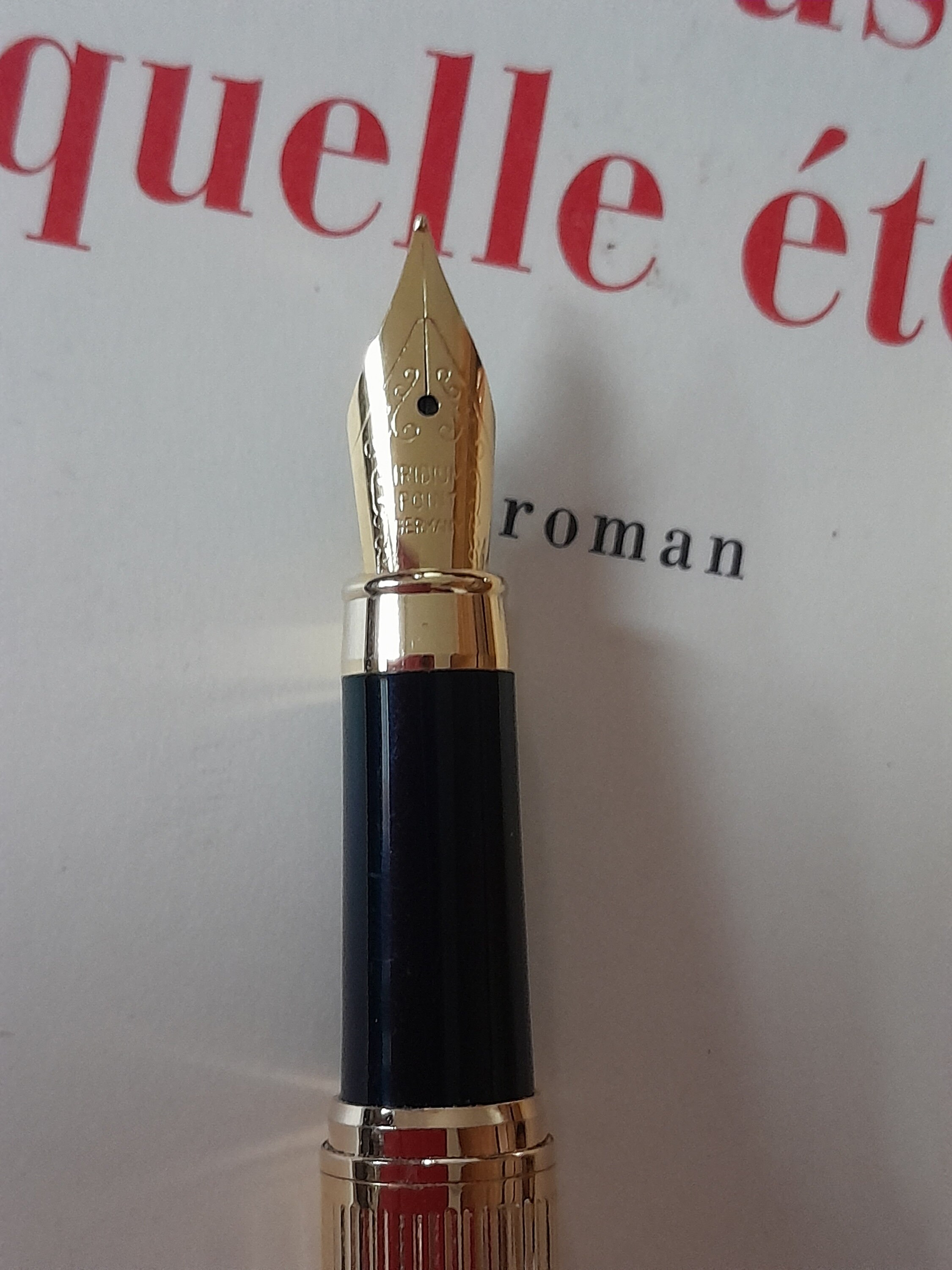 Beau stylo plume marron et doré , stylo encre made in Germany