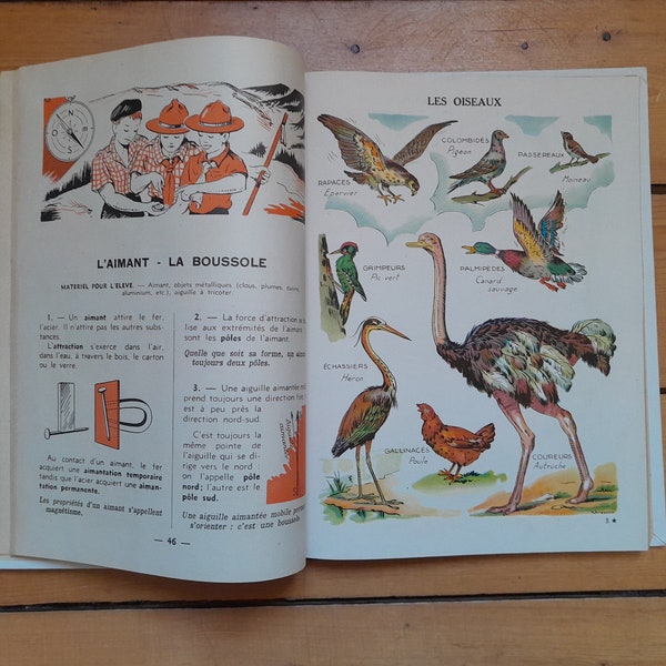 Old school book in French, science lessons, biology with illustrations, 1955, decoration old children's books for library