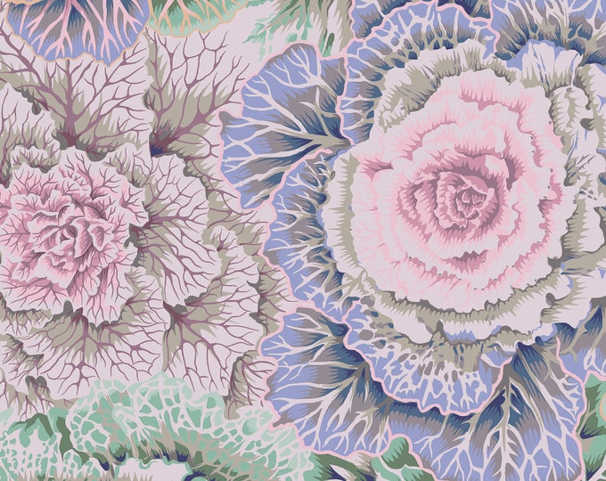 FABRIC:  Brassica GRAY by Philip Jacobs for the Kaffe Fassett Collective