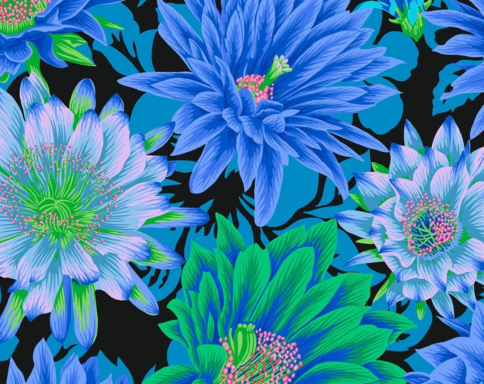 FABRIC:  Cactus Flower COOL by Philip Jacobs for the Kaffe Fassett Collective
