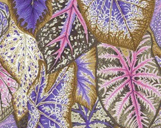 OOP FABRIC:  Caladiums PASTEL Philip Jacobs for the Kaffe Fassett Collective