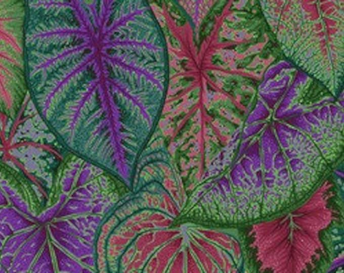 OOP FABRIC:  Caladiums DARK Philip Jacobs for the Kaffe Fassett Collective
