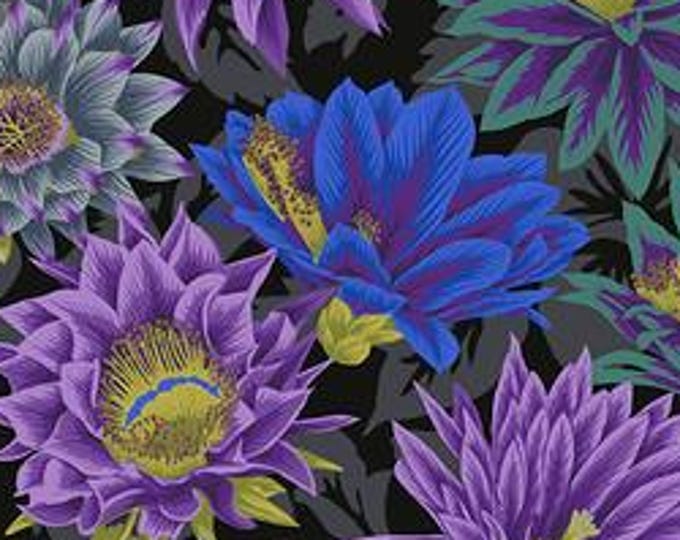 FABRIC:  Cactus Flower BLACK by Philip Jacobs for the Kaffe Fassett Collective