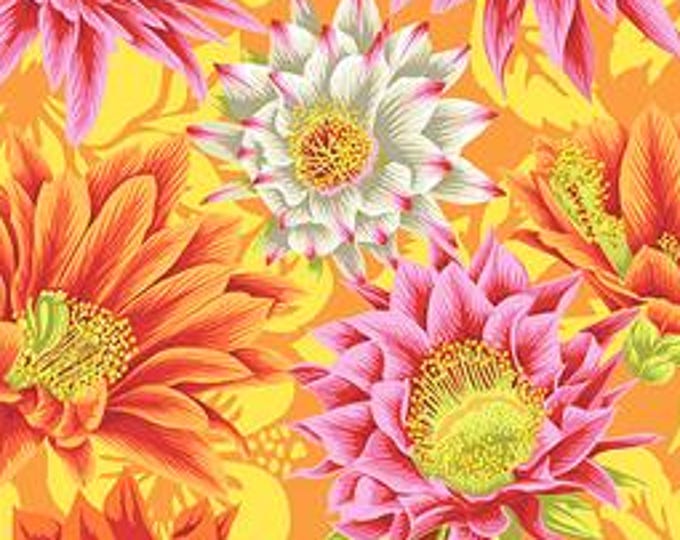 FABRIC:  Cactus Flower YELLOW by Philip Jacobs for the Kaffe Fassett Collective