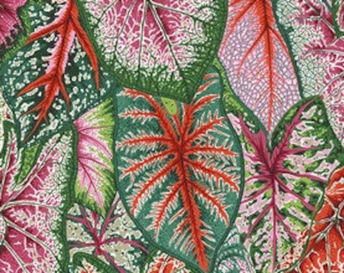 OOP FABRIC:  Caladiums BRIGHT Philip Jacobs for the Kaffe Fassett Collective