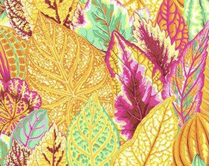FABRIC:  Coleus YELLOW by Philip Jacobs for the Kaffe Fassett Collective