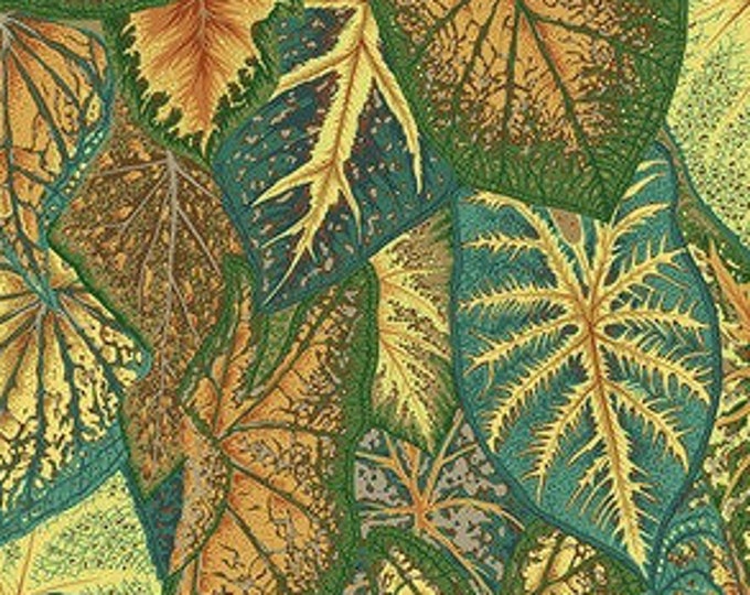 OOP FABRIC:  Caladiums GOLD Philip Jacobs for the Kaffe Fassett Collective