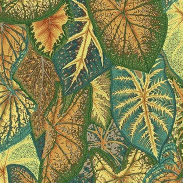 FABRIC:  Caladiums GOLD Philip Jacobs for the Kaffe Fassett Collective