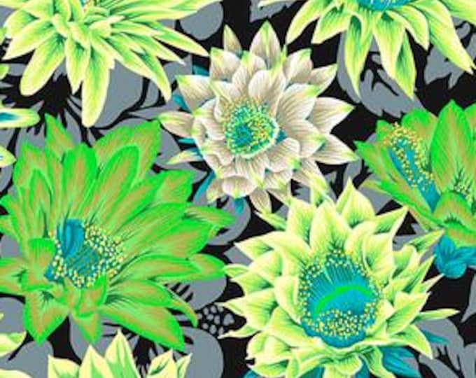FABRIC:  Cactus Flower CONTRAST by Philip Jacobs for the Kaffe Fassett Collective