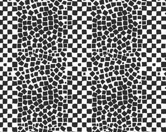 FABRIC:  Chips WHITE by Brandon Mably for the Kaffe Fassett Collective
