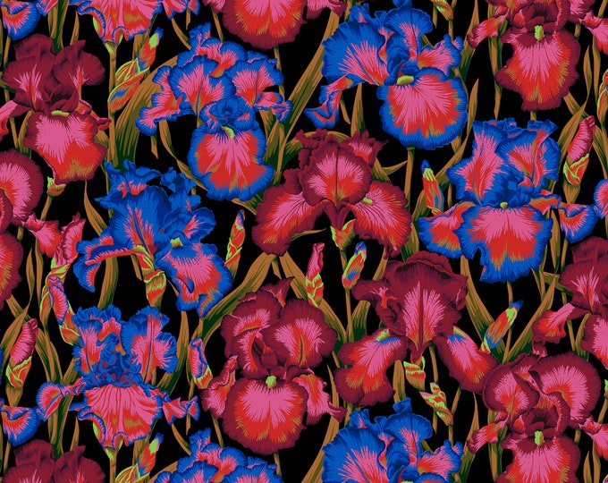 FABRIC:   Bearded Iris DARK by Philip Jacobs for the Kaffe Fassett Collective