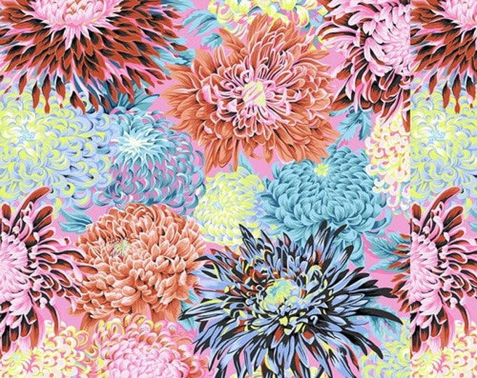 FABRIC: Japanese Chrysanthemum CONTRAST by Philip Jacobs for the Kaffe Fassett Collective