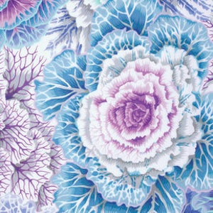 FABRIC:  Brassica SKY by Philip Jacobs for the Kaffe Fassett Collective