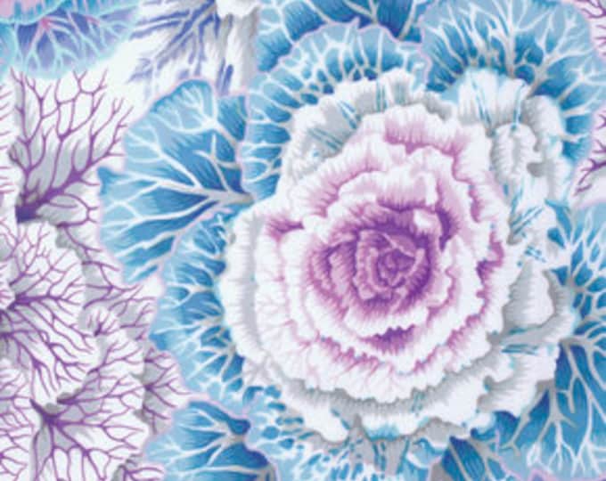 FABRIC:  Brassica SKY by Philip Jacobs for the Kaffe Fassett Collective