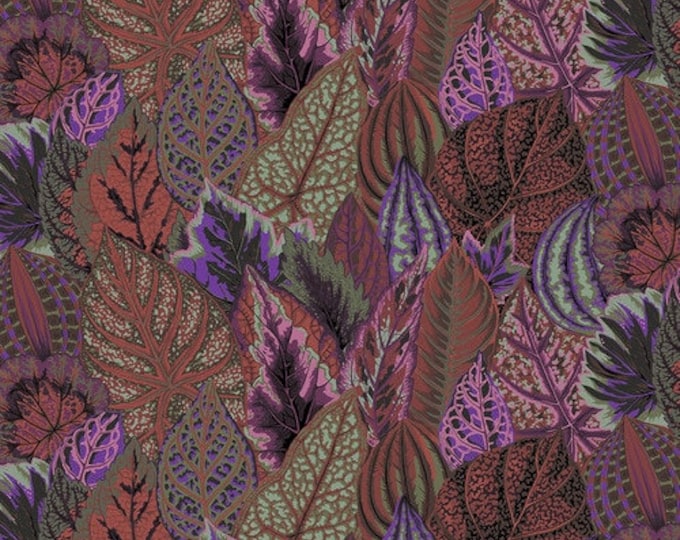 OOP FABRIC:  Coleus DARK by Philip Jacobs for the Kaffe Fassett Collective