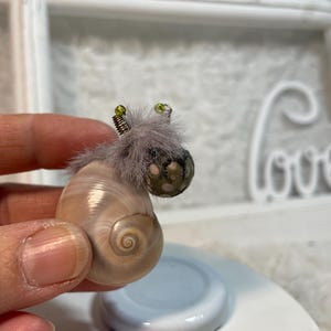 Könnte beinhalten: Eine skurrile Schneckenfigur, hergestellt aus einer natürlichen Muschelschale, verziert mit einem flauschigen grauen Kopf, einem gemusterten Körper und Drahtantennen mit grünen Akzenten. Die Schnecke wird in einer Hand gehalten.