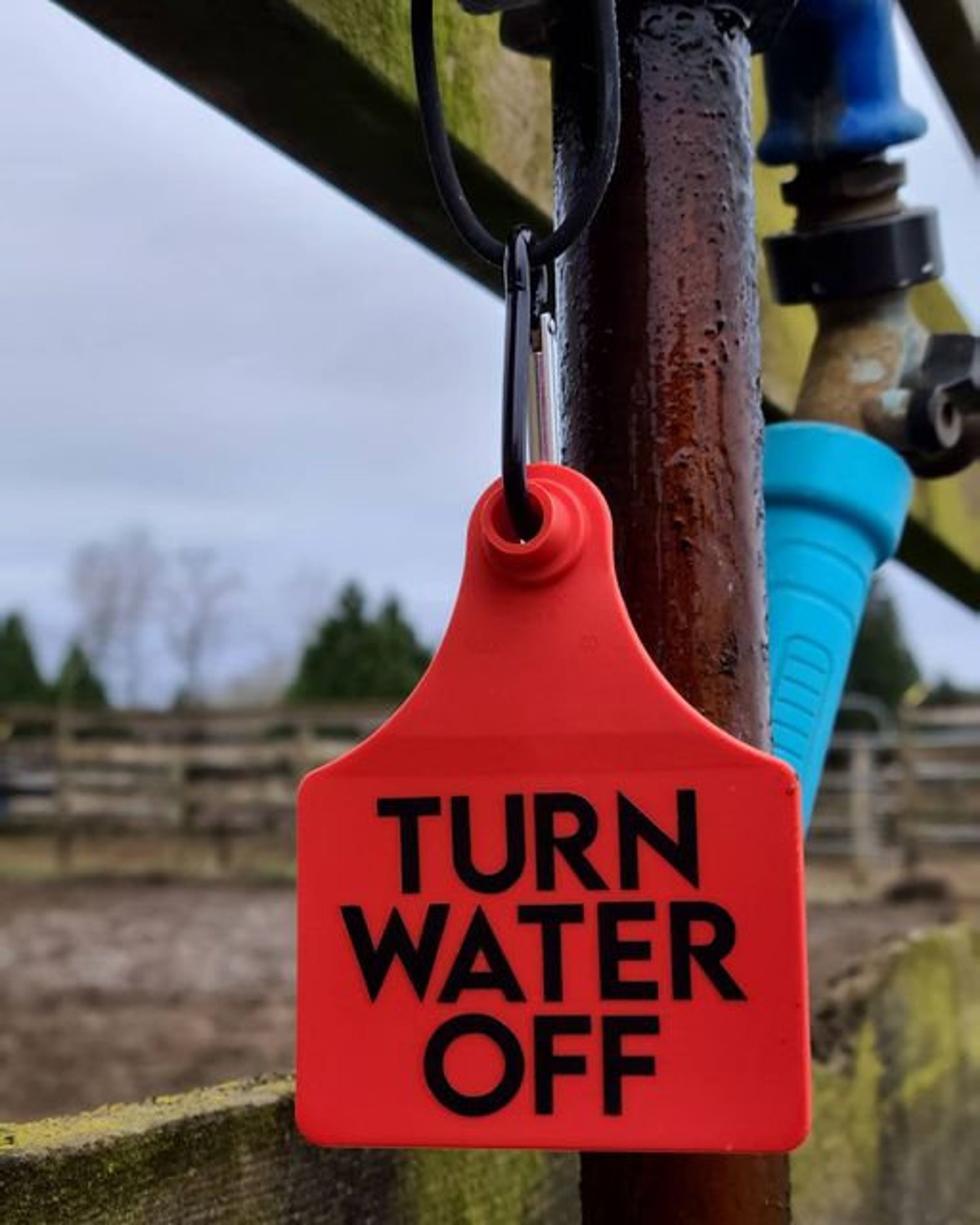 Turn The Water Off Reminder Forget me nots Etsy