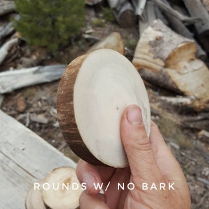 Aspen Wood Slice, 3&quot; Wood Round, Natural tree slab, Tree cookie, Natural Party decor, DIY Ornament, End grain tree slice, Wooden Coaster